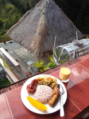 Banaue Rice Homestay